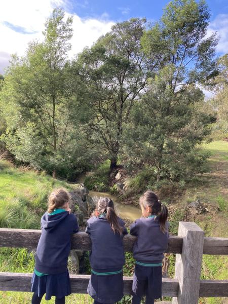 Students overlooking creek at Orchard Grove