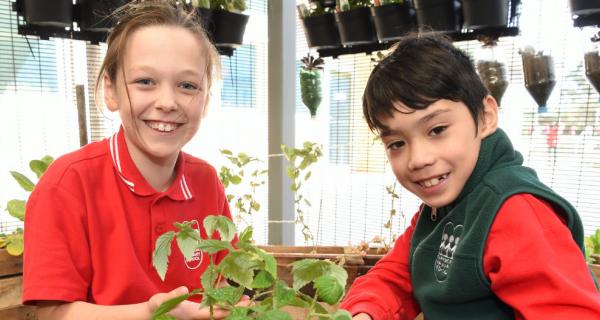 Picture of students with plants