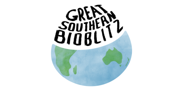 Great Southern BioBlitz Logo