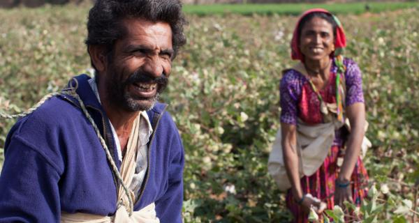 Picture of cotton farmers in India