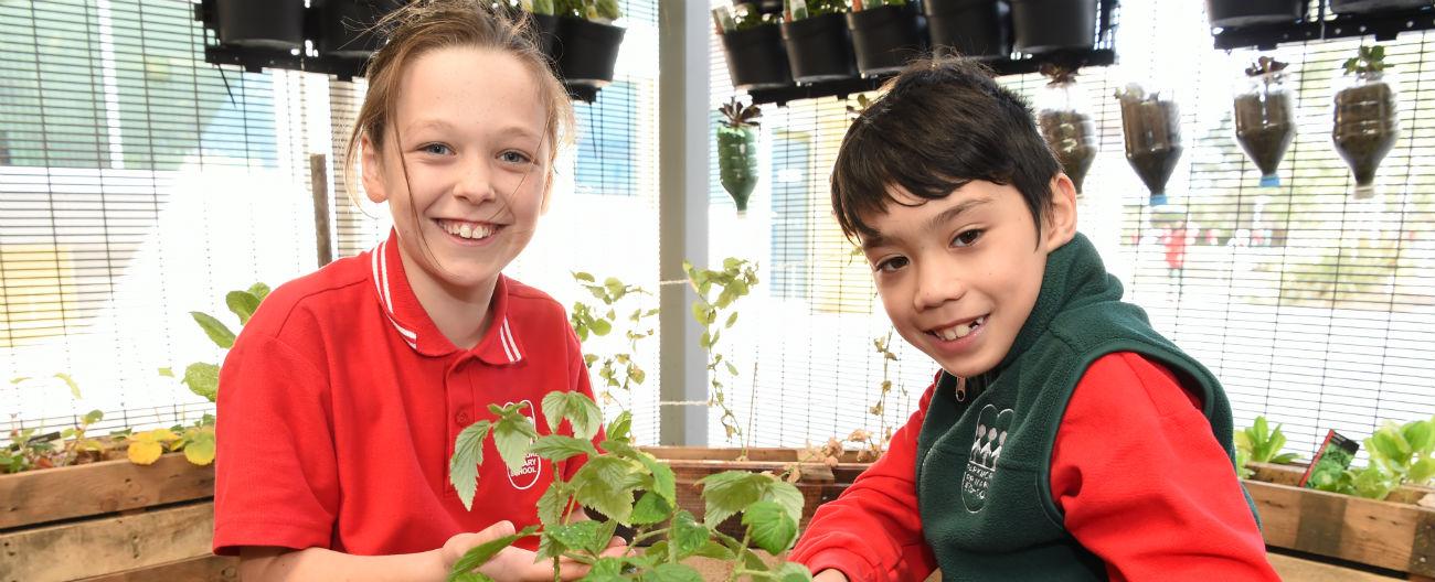 Picture of students with plants