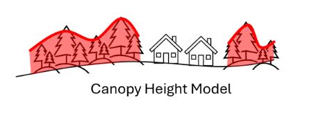 Canopy height model