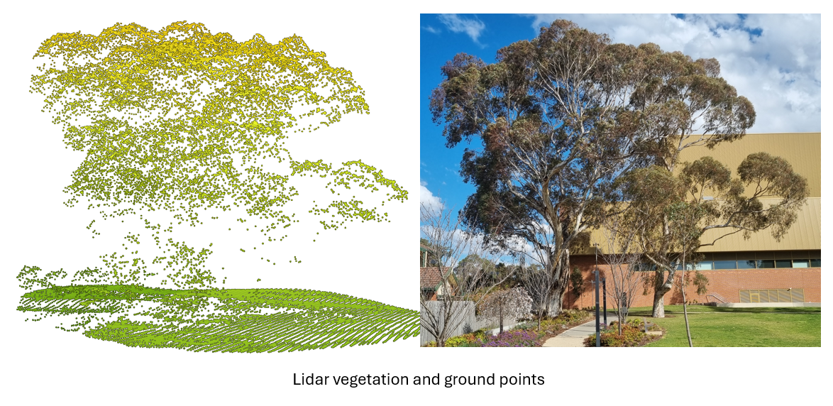 City of Whitehorse lidar and ground points