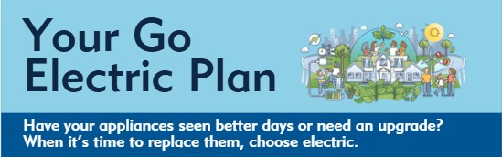 Screenshot of the your go electric plan document