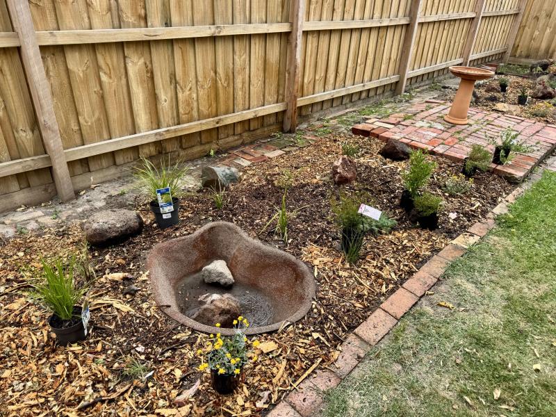 Newly planted garden bed with pond