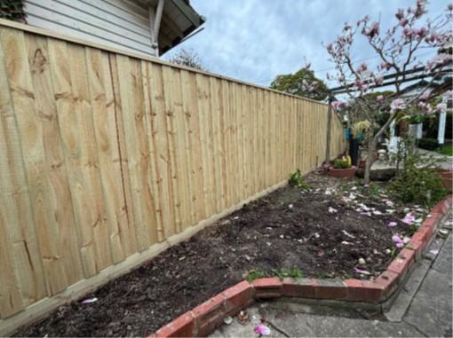 garden in progress