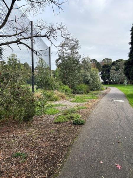 Semi mature plants to the right of the image and paved walking path along left side of image