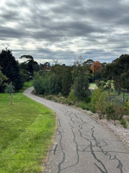 Paved pathway in centre of image with grassed area to left of path and semi mature plants to the right of path