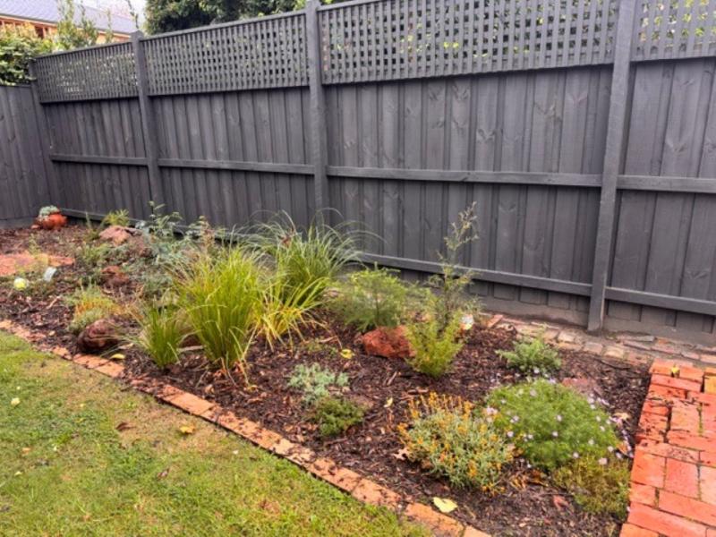 Garden bed filled with natives