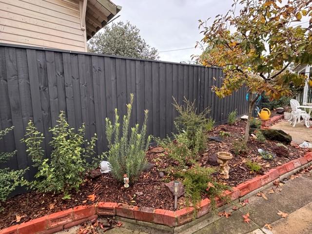 new garden