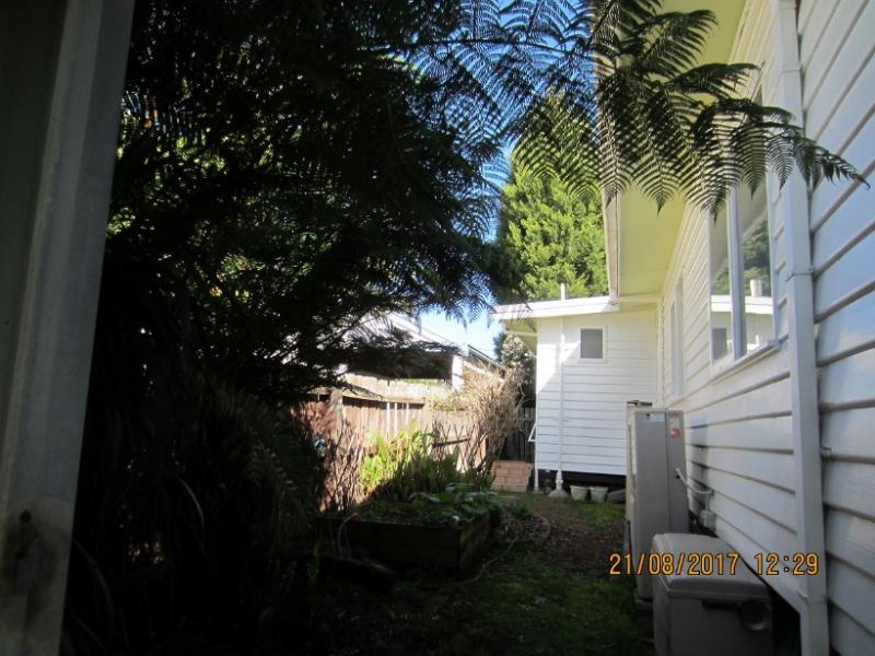 Irene's side garden in 2017