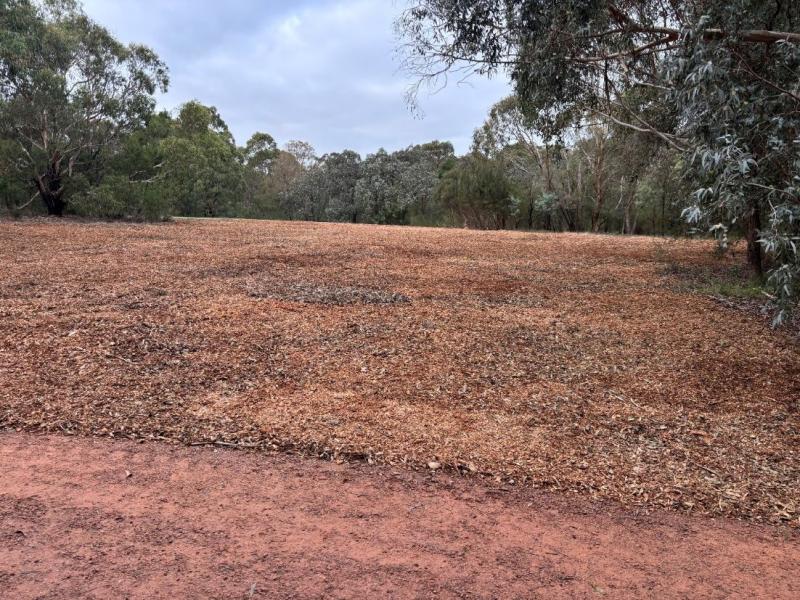 Open area covered with mulch, clay path in foreground