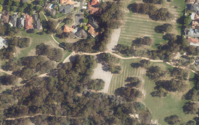 Aerial image showing sections of canopy, grassed area and residential housing, middle of image shows the newly mulched area