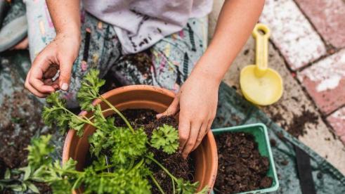 Kids gardening 