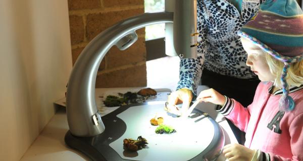 Child looking at items under a microscope