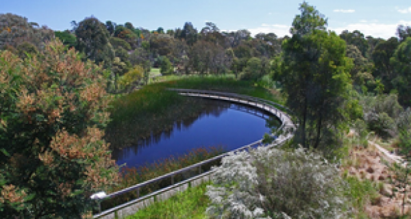 Water Management Strategy