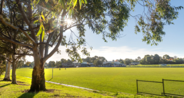 Mirrabooka Reserve