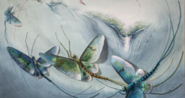 Dance of the mayflies