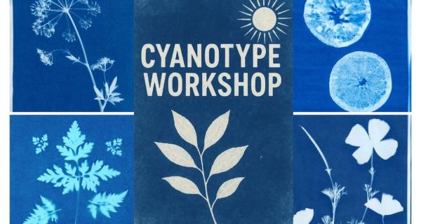 blue print on solar sensitive paper 