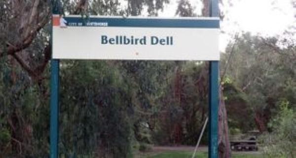 a sign in a park that reads Bellbird Dell