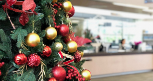 Part of a decorated christmas tree with customer service centre in background