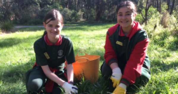 Environmental volunteers primary students