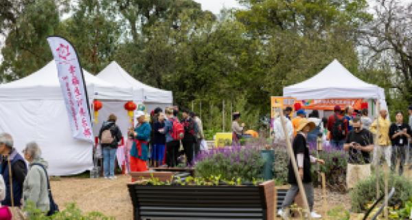 event marquee's in a garden with people walking around