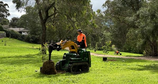 Tree planting at Gardiners Creek Reserve Burwood