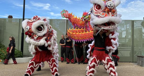 Chinese dragon dancing 