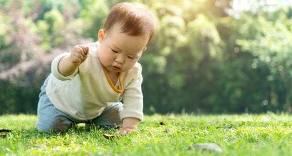 Young baby crawling on the grass