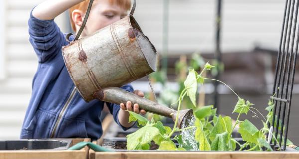 Kids gardening