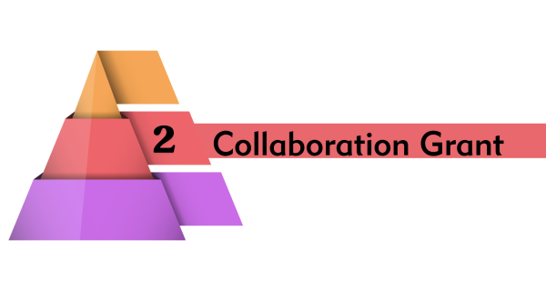 Tier 2 Collaboration Grant image 