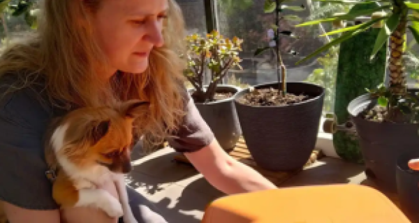 Compost Revolution webinar - small spaces