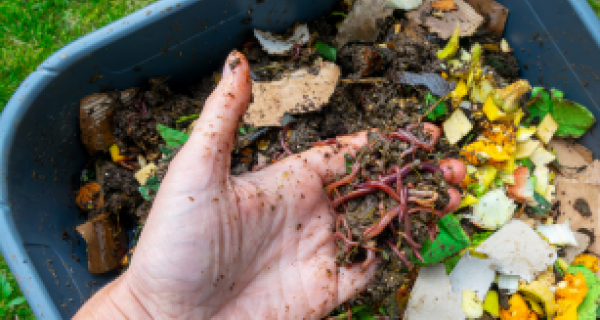 Compost