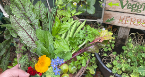 gardening