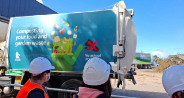 FOGO tour