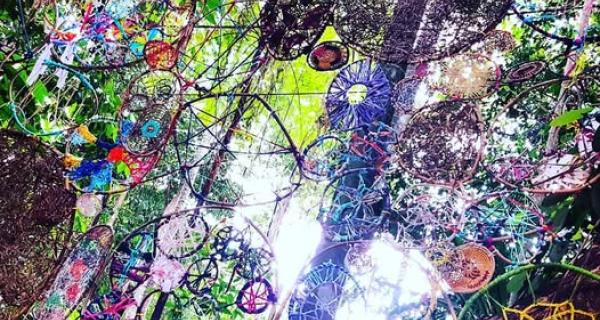 Whitehorse Art Gallery Friendship Circles
