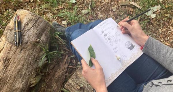 A personal journalling a leaf in a sketch book outside beside a log.