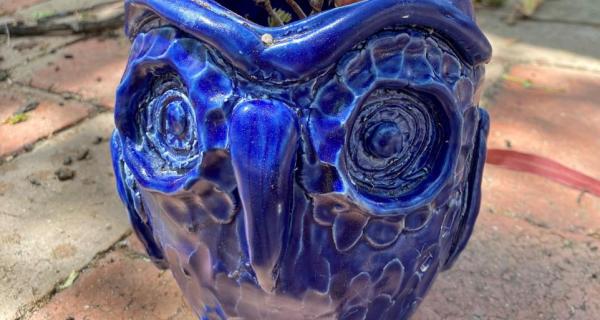 Blue owl planter pot 