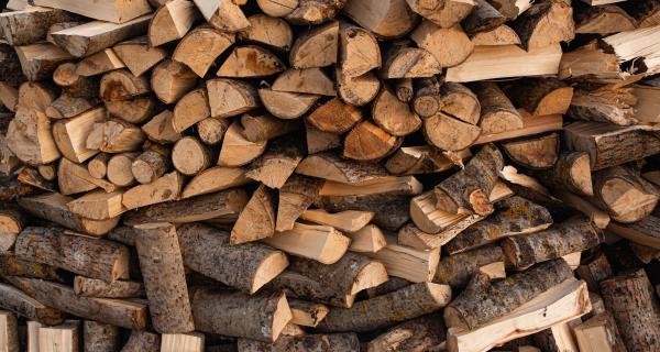 firewood
