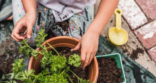 Kids gardening 