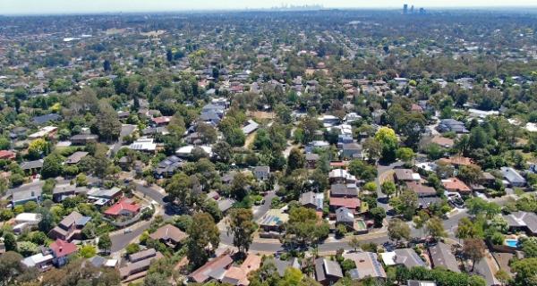Eastern suburbs showing trees and houses