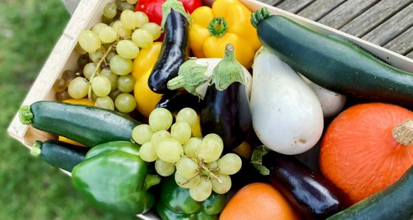 fresh vegetables in crate landscape 