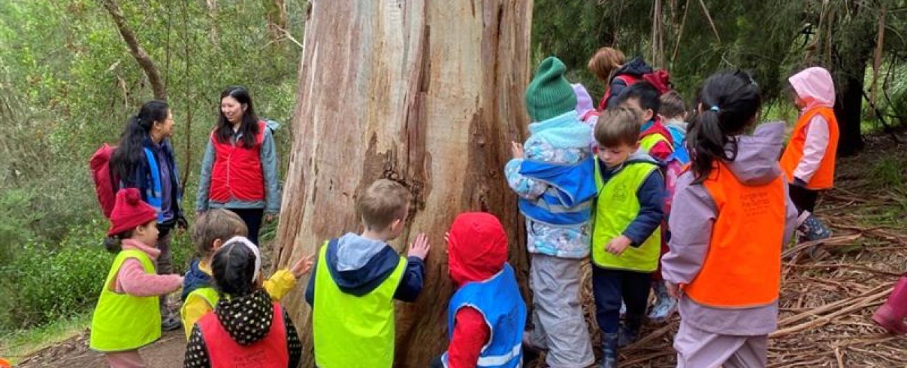 ELC children at Yarran Dheran hug tree