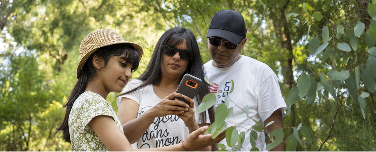 mother, father and daughter taking a photo of leaves