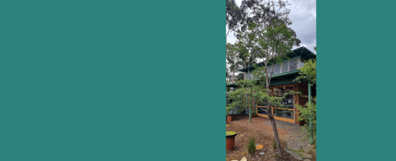Small tree at the Box Hill Arts Centre